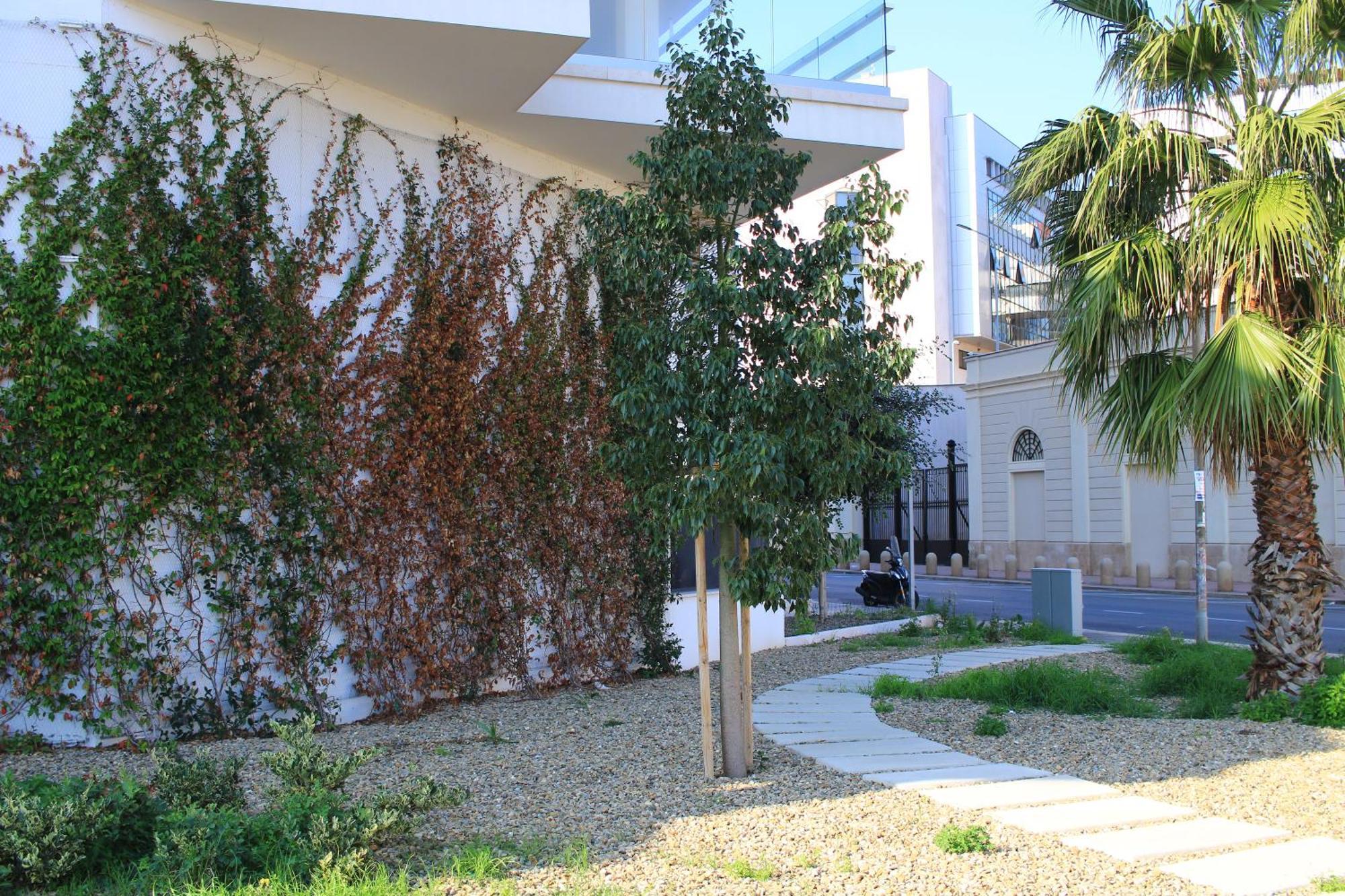בארי Marisabella Suite 8 מראה חיצוני תמונה